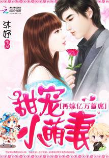 甜宠小萌妻：再嫁亿万首席